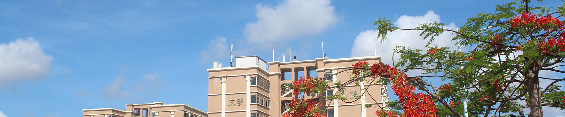 学科建设