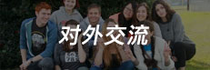 对外交流